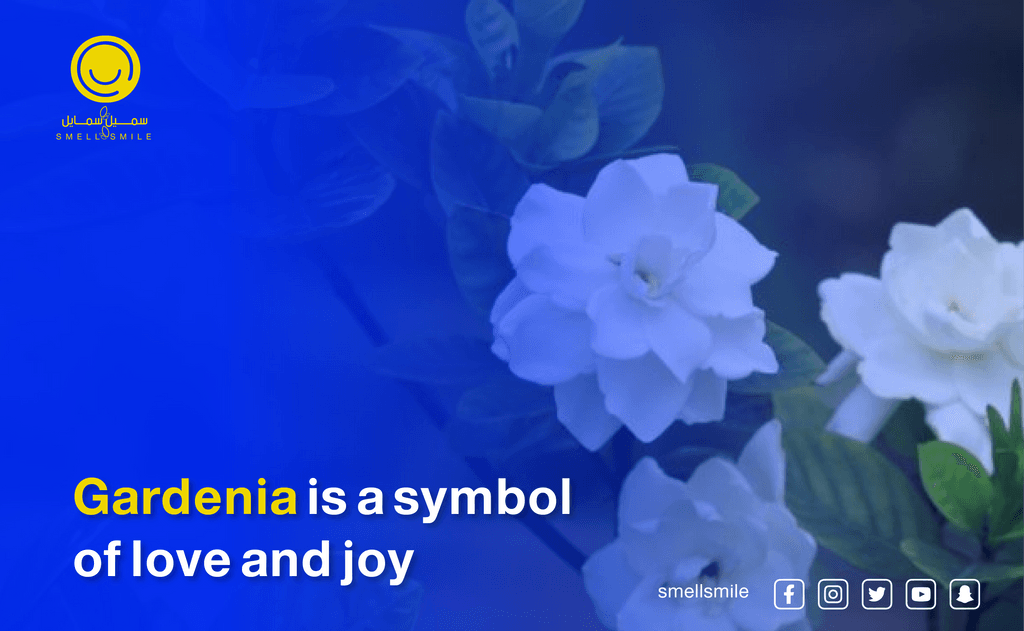 Gardenia is a symbol of love and joy