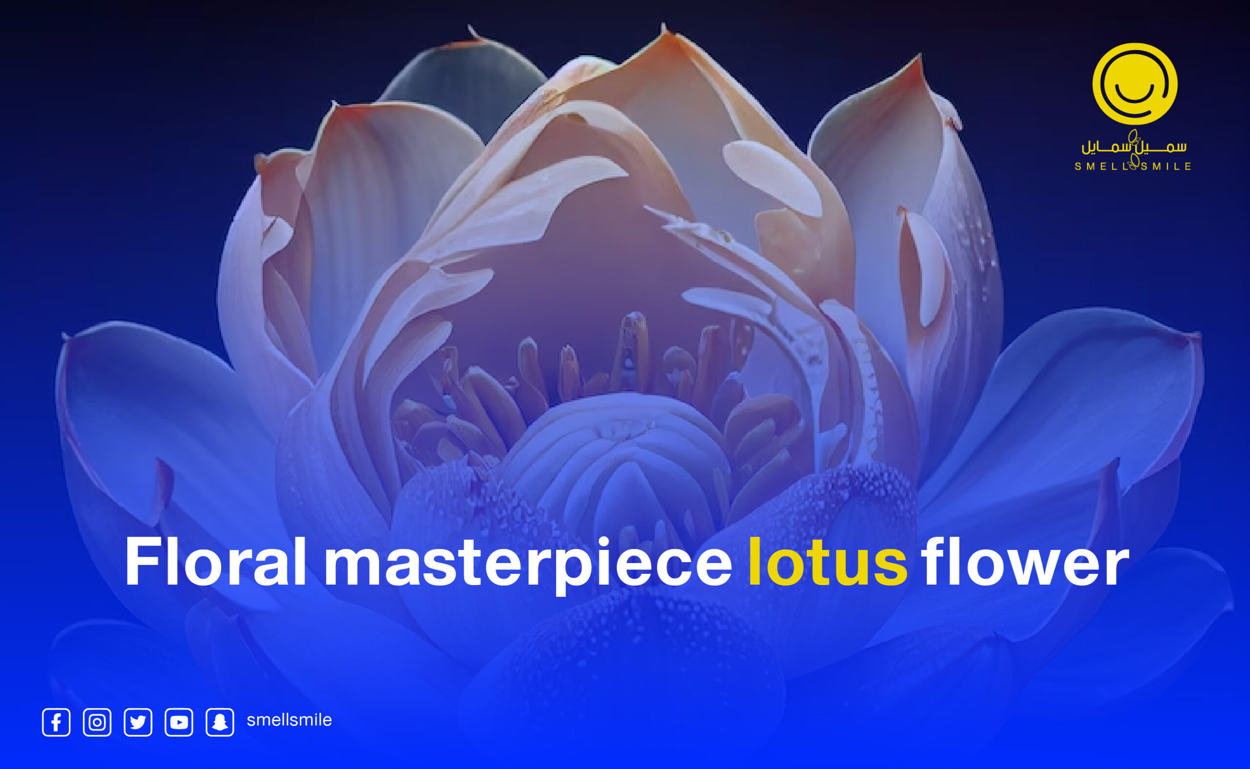 Lotus flower masterpiece of flowers