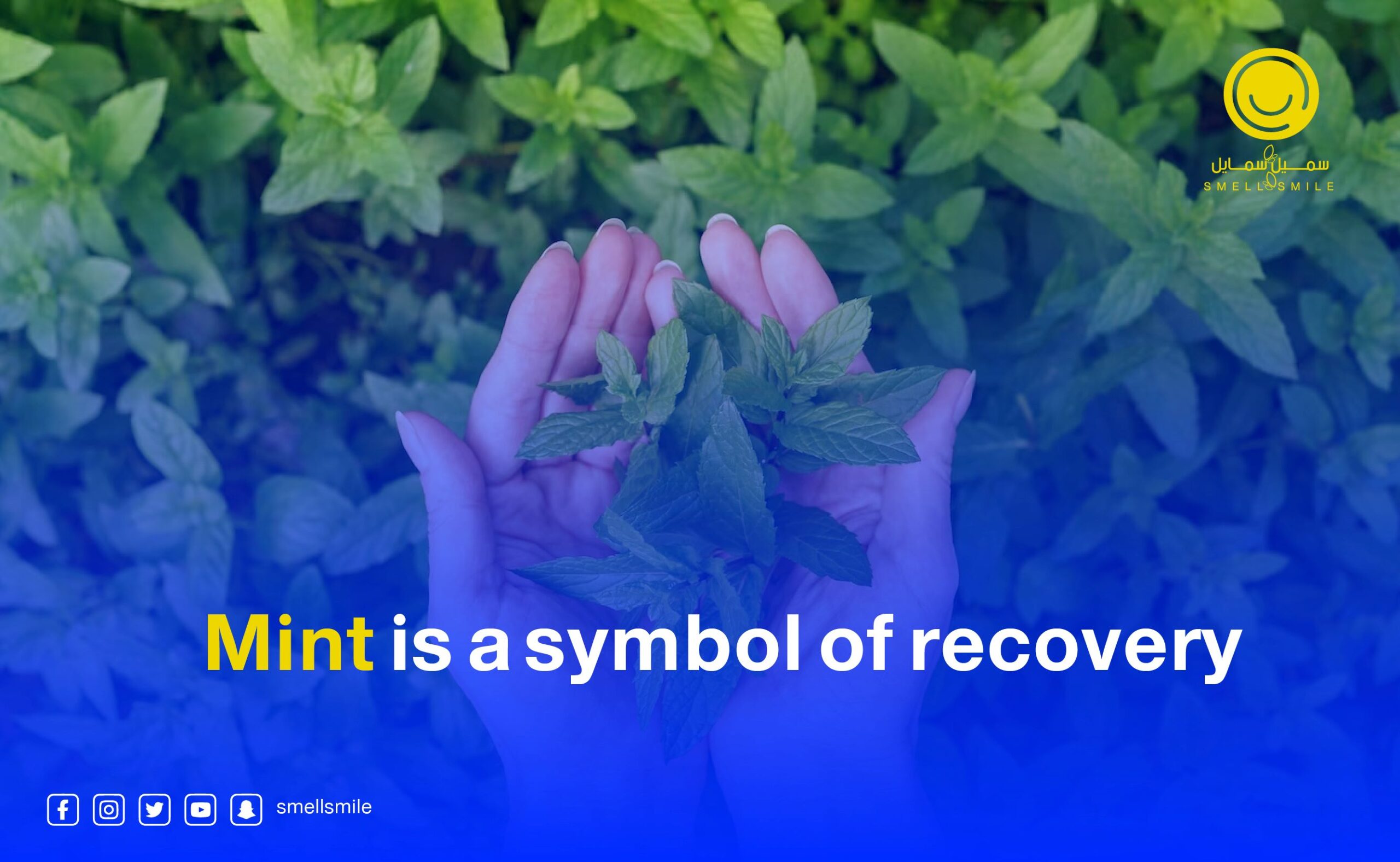 Mint is a symbol of recovery