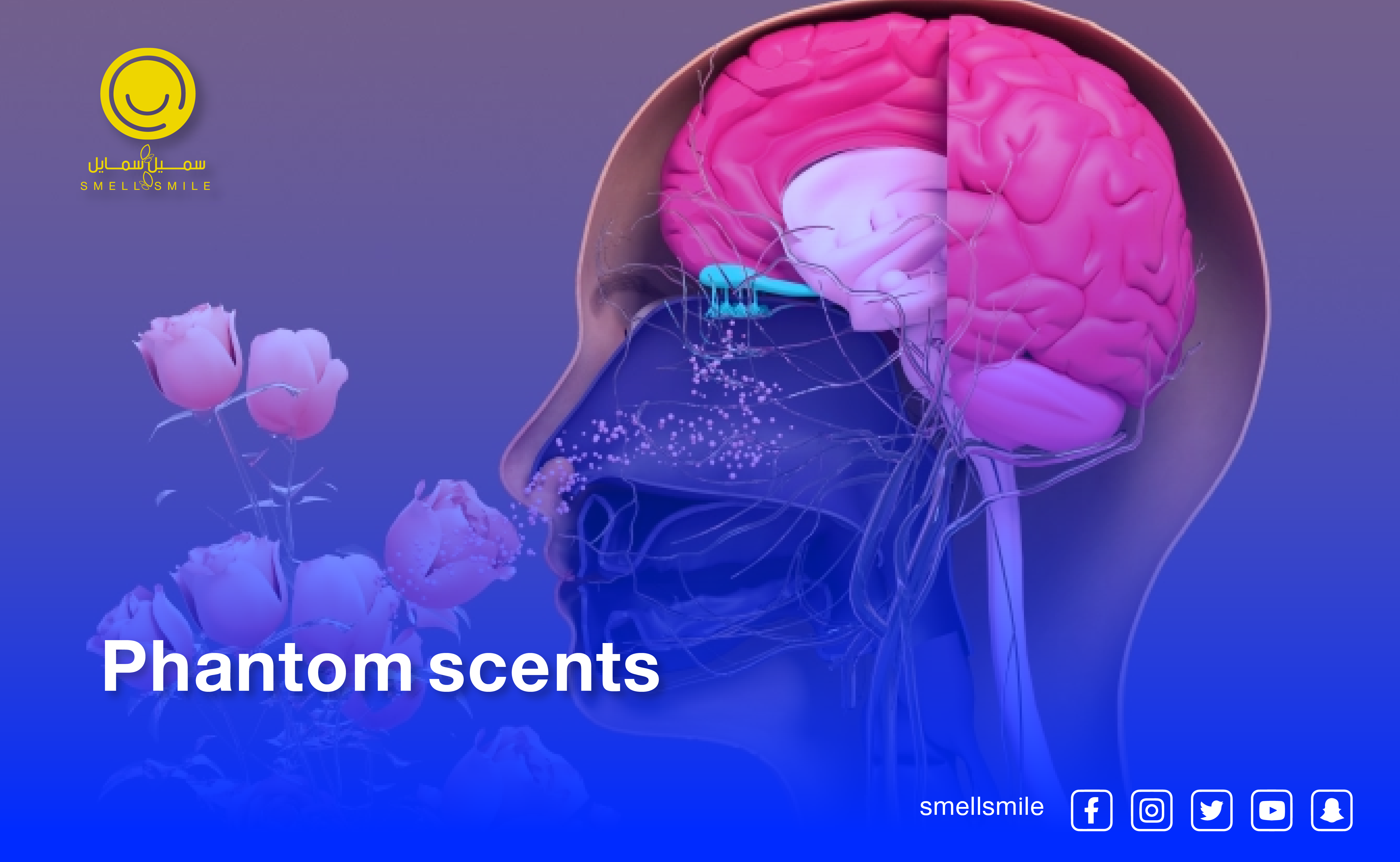 Olfactory hallucinations and delusions of smell