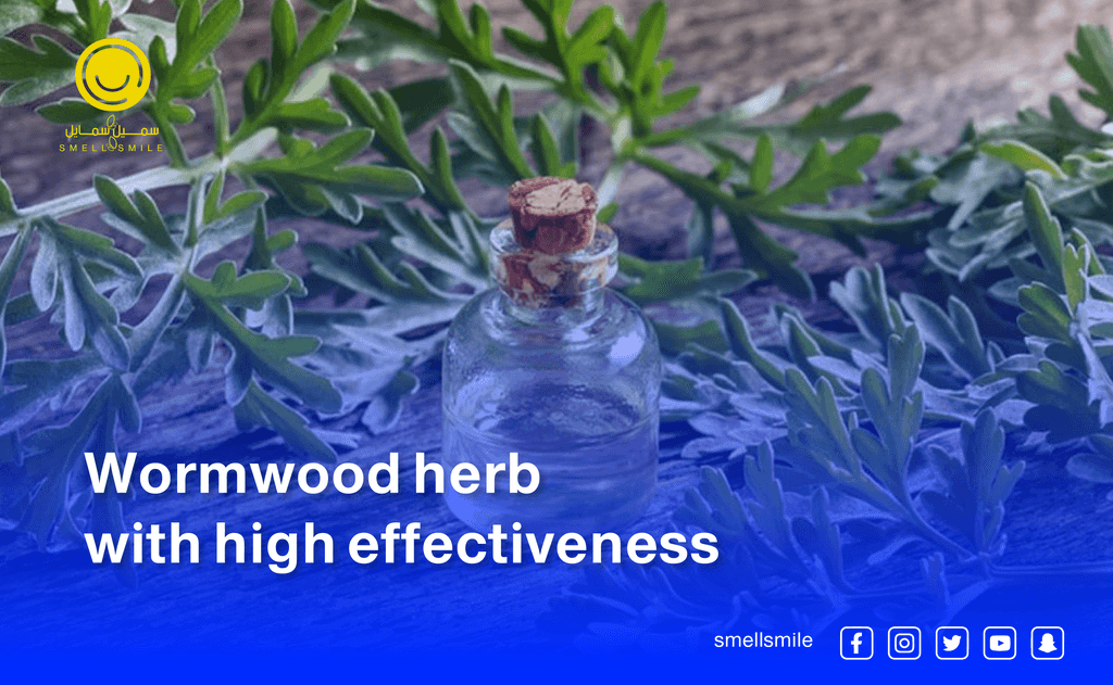 Wormwood herb with a high effect
