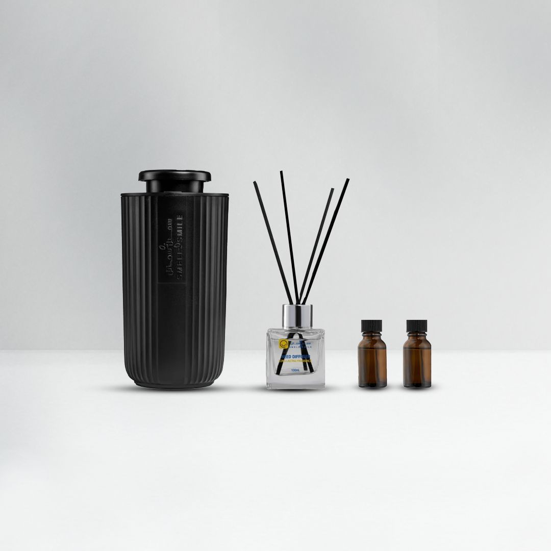 AC601 gift box car aroma diffuser